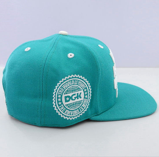 100% Cotton Adjustable Fashion 3D Embroidery Custom Snapback Caps