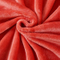 Breathable Polyester Flannel Fleece Cozy Plush Fuzzy Throw Coral Blanket