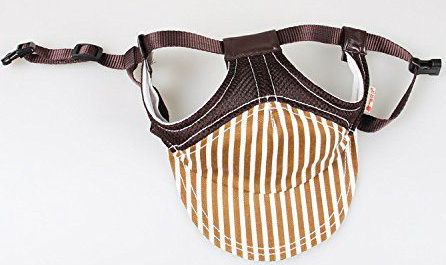 Sedex Audit Wholesale Custom Cotton Pet Party Baseball Cute Dog Hat