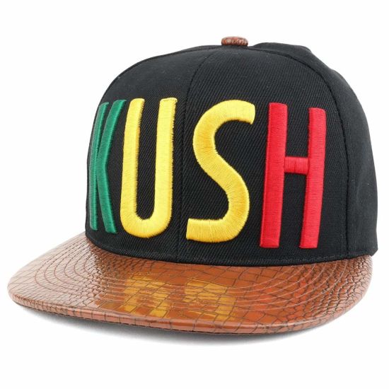 BSCI Audit 100% Polyester 3D Embroidered Visor PVC Snapback Cap