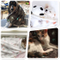 Paw Patterns Dog Cat Fluffy Flannel Throw Pet Fleece Blanket
