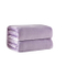 All-Season Soft Fabric Wholesale High-End Plush Lightweight Polyester Flannel Blanket