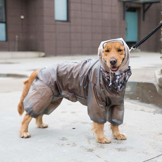 Dog Raincoat, Fashion Large Dog Waterproof Rainwear Rain Jacket Four-Legs Jumpsuit Hoodies Long Sleeves TPU Raincoat for Large Dogs