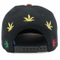 BSCI Audit 100% Polyester 3D Embroidered Visor PVC Snapback Cap