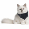 Sedex Audit Promotional Cotton Triangle Print Cotton Pet Scarf Cat Dog Bandana