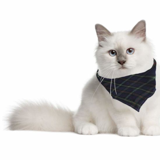 Sedex Audit Promotional Cotton Triangle Print Cotton Pet Scarf Cat Dog Bandana
