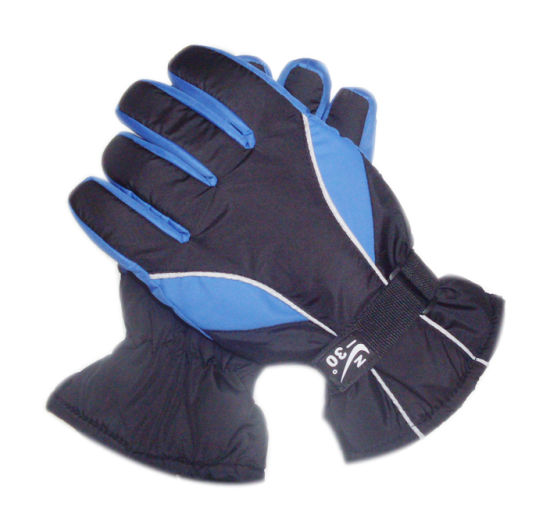 Custom Wholesale Windproof Snow Winter Leather Insulation Black Ski Glove