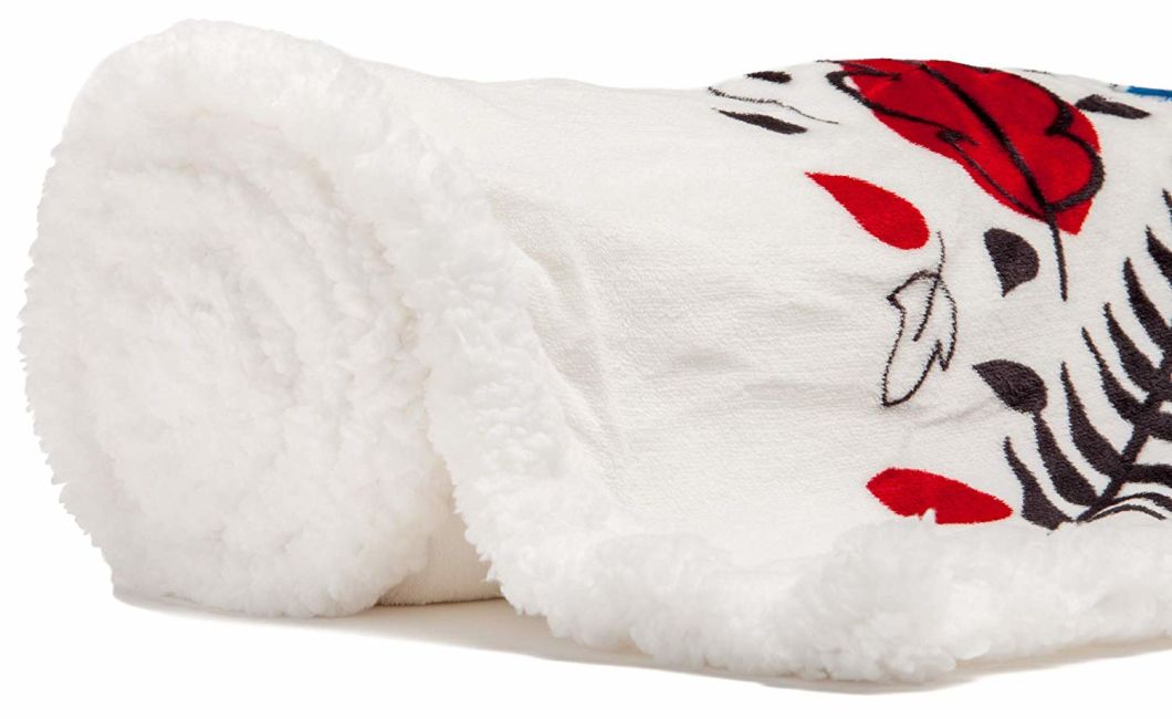 Wholesale Custom Plush Sherpa Fabric Print Blanket Fleece Super Soft