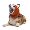 Acrylic Winter Neck Ear Headband Warm Knitted Pets Dog Snood