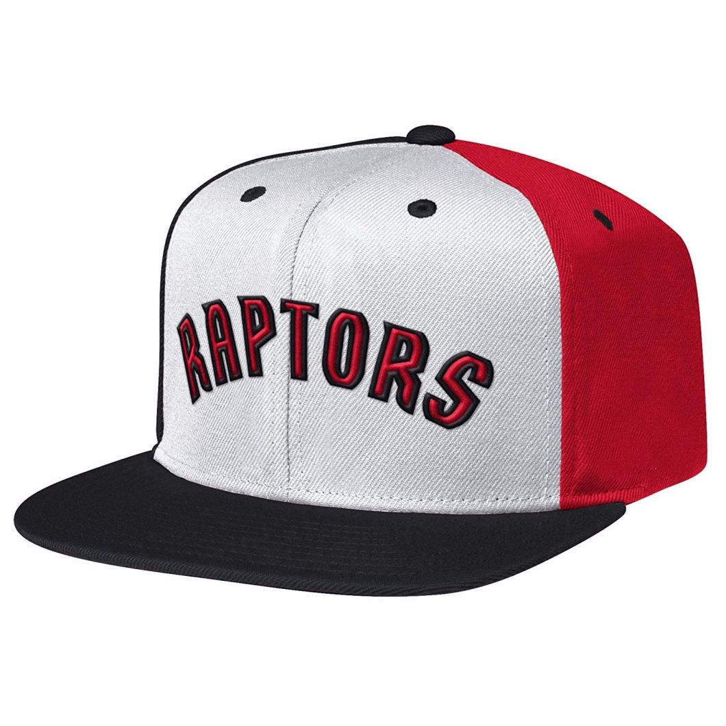 Custom Embroidered Cotton Men Basketball Cap with Plastic Snapback Closure