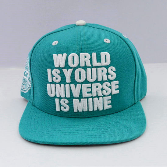 100% Cotton Adjustable Fashion 3D Embroidery Custom Snapback Caps