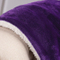 Microfiber Fuzzy Soft Sherpa Fleece Blanket Purple Plush Throw Blanket