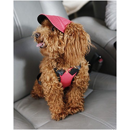 Dog Oxford Fabric Baseball Pet Hat with Ear Holes