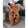 Dog Oxford Fabric Baseball Pet Hat with Ear Holes