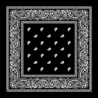 Hot Sales Promotional 100% Cotton 55cm*55cm Black White Paisley Square Printed Bandana