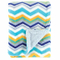 Printed 100% Polyester Double-Layer Baby Plush Double Fleece Blanket