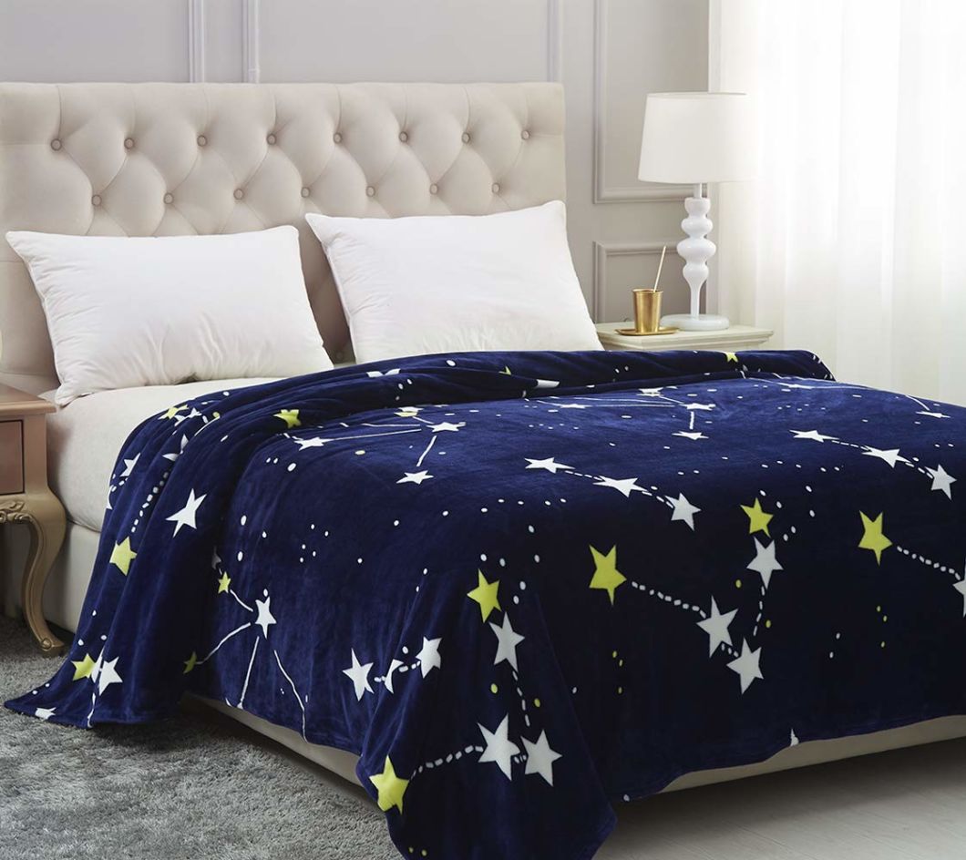 100% Polyester Plush Soft Anti-Static Flannel Fleece Printed Blanket