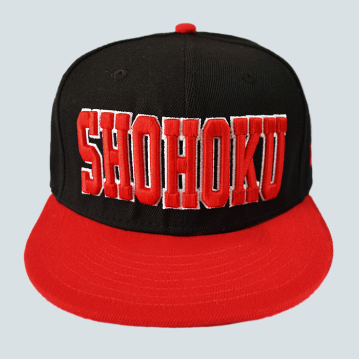 100% Cotton 3D Embroidered Fashion New Topi Era Snapback Hats