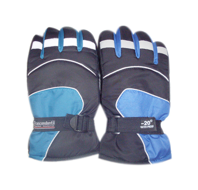 Custom Wholesale Windproof Snow Winter Leather Insulation Black Ski Glove