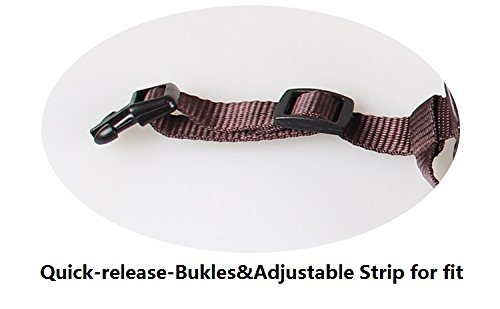 Sedex Audit Wholesale Custom Cotton Pet Party Baseball Cute Dog Hat