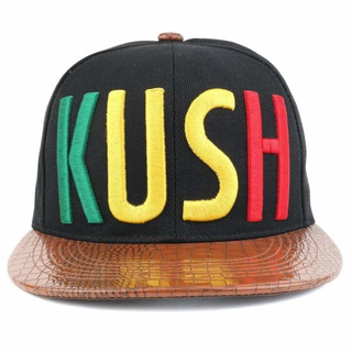 BSCI Audit 100% Polyester 3D Embroidered Visor PVC Snapback Cap